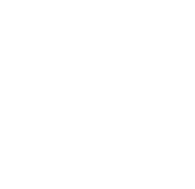 Icon for SEO